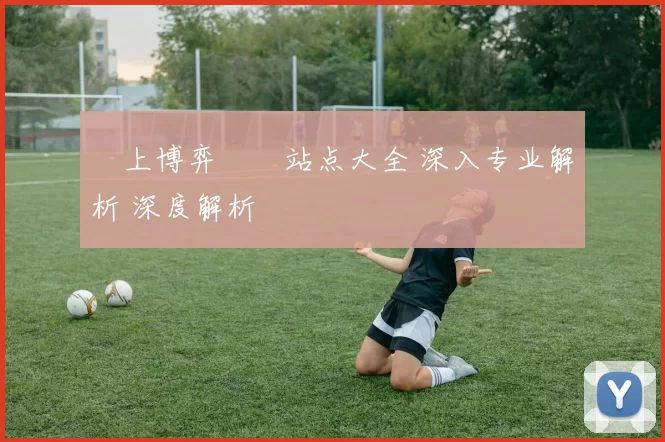 線上博弈娛樂站点大全 深入专业解析 深度解析