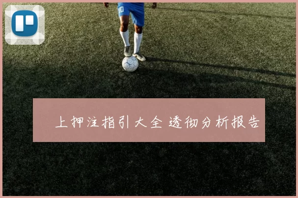 網上押注指引大全 透彻分析报告