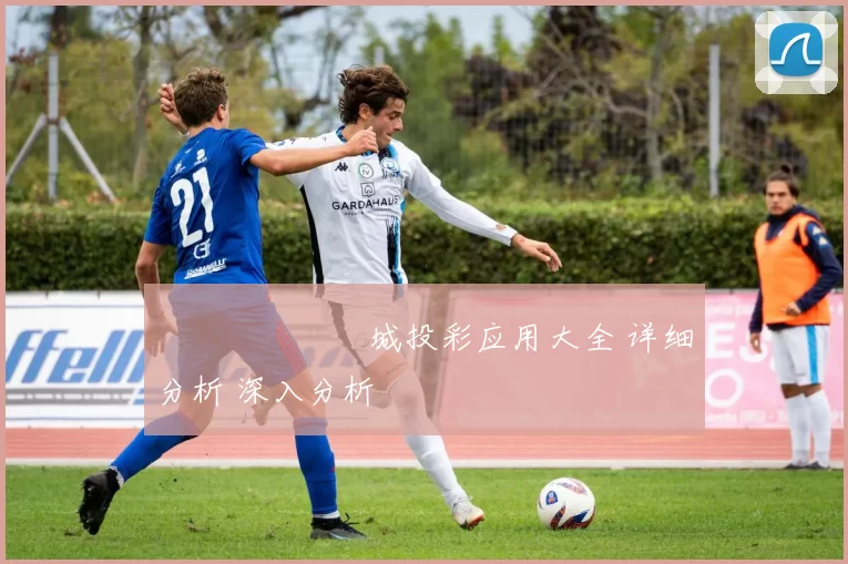 網絡賭場娛樂城投彩应用大全 详细分析 深入分析