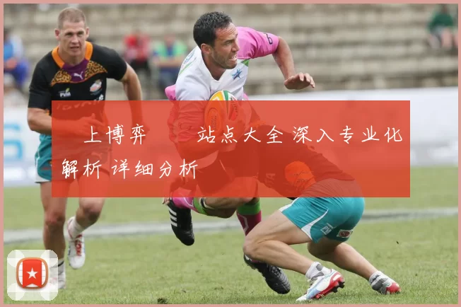 線上博弈娛樂站点大全 深入专业化解析 详细分析