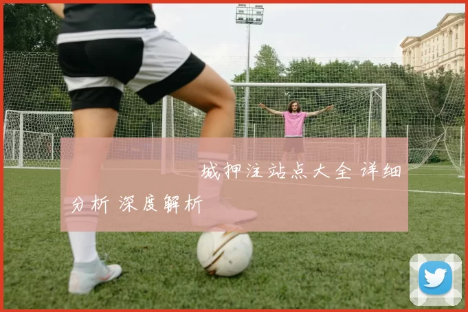 網絡賭場娛樂城押注站点大全 详细分析 深度解析