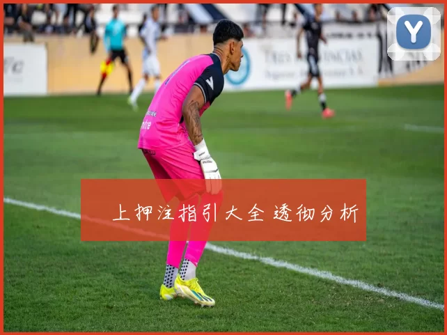 網上押注指引大全 透彻分析