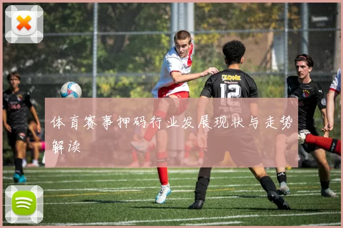 体育赛事押码行业发展现状与走势解读