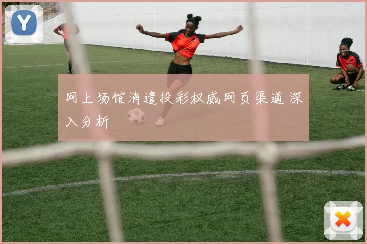 网上场馆消遣投彩权威网页渠道 深入分析