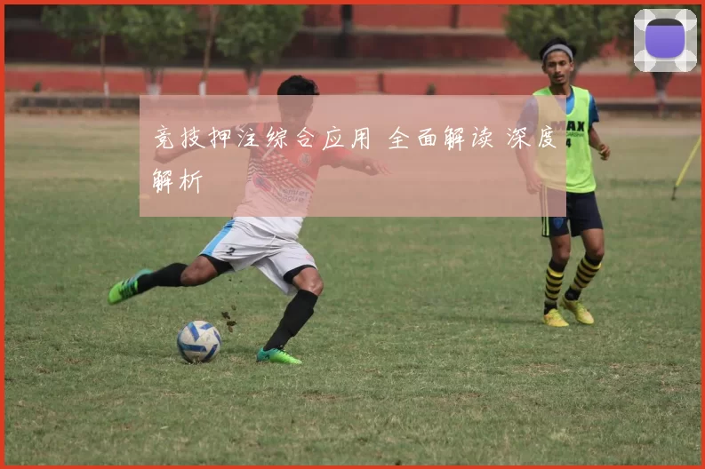 竞技押注综合应用 全面解读 深度解析