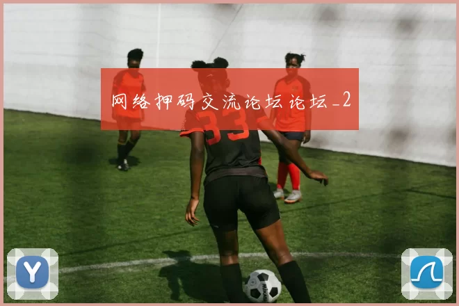 网络押码交流论坛论坛_2