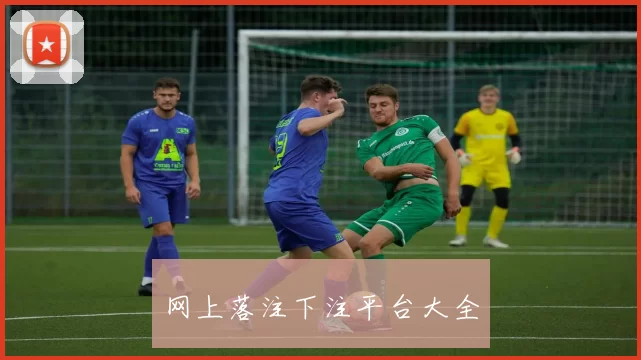 网上落注下注平台大全